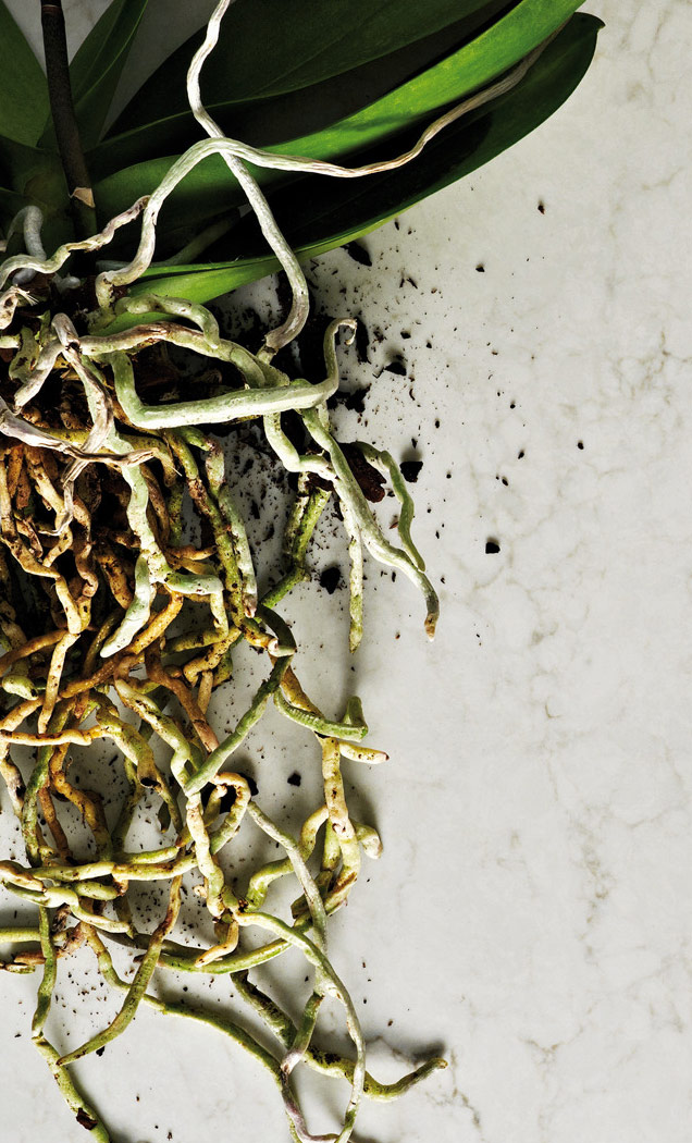 5000_Lomdon_Grey_opt-1920X1080