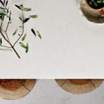 5141_Frosty-Carrina_olives