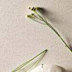 6141_Ocean Foam_6141 Ocean Foam 1