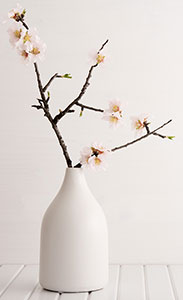 modern Complementary accessories vase