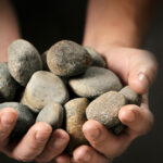 sustainability_b_1903_624px