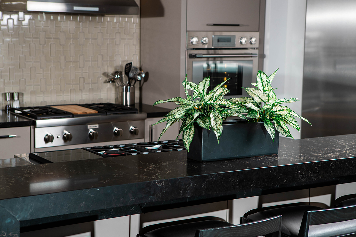 Best Quartz Countertops in Nanaimo Caesarstone