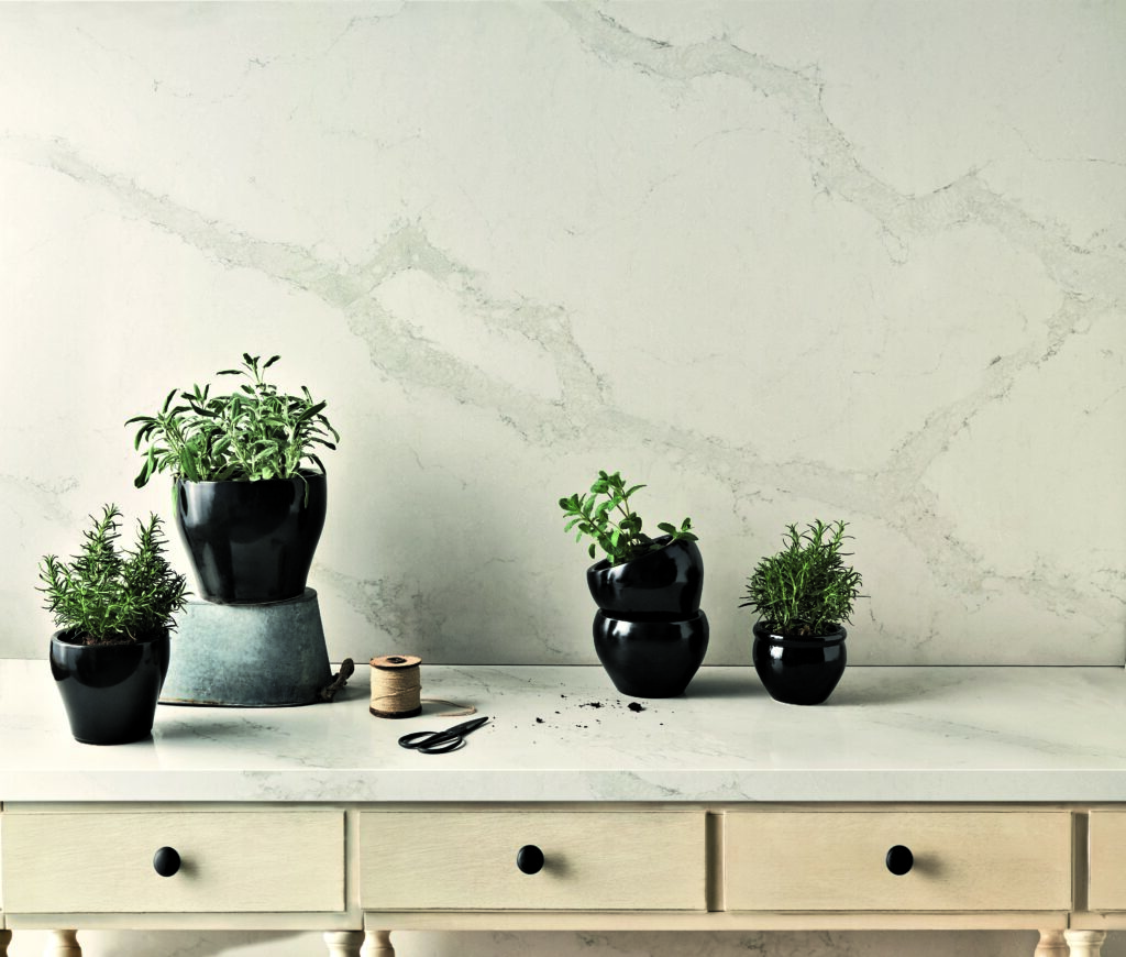 white veined counter and backspalsh with plants