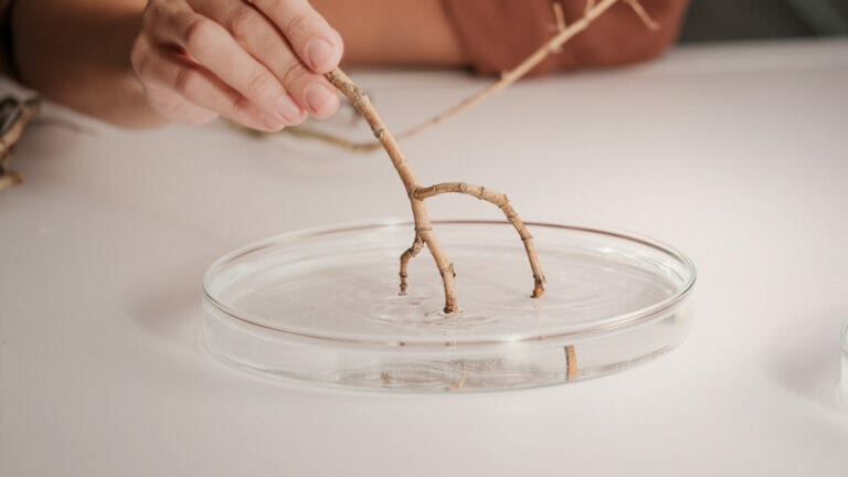 Caesarstone mineral collection sustainability