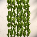 Our low crystalline silica models