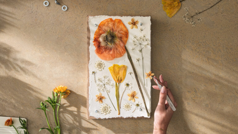 Caesarstone ICON 2025 Collection