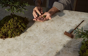 Caesarstone 542 Mosstone Surface